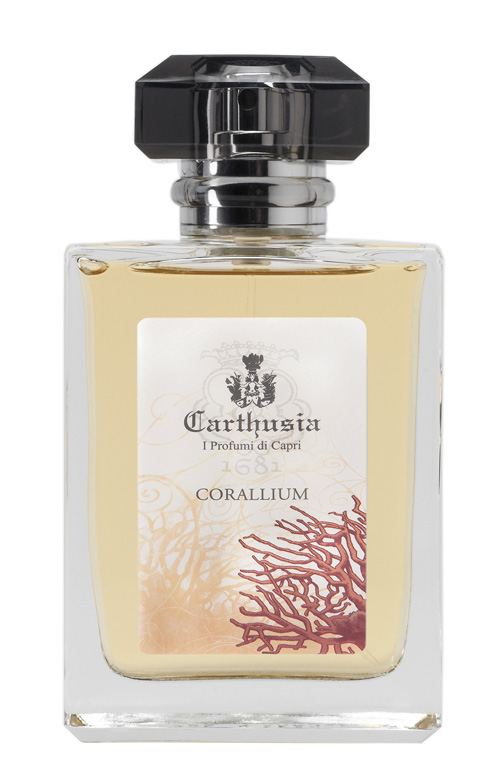 Carthusia - Corallium
